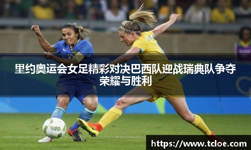 球速体育登录入口